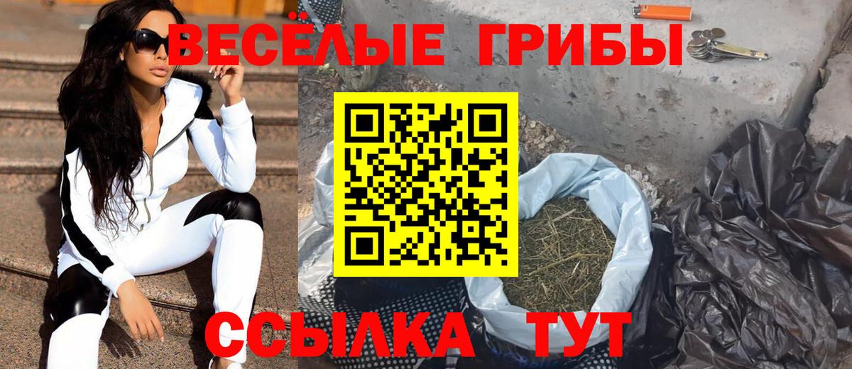 Галлюциногенные грибы Psilocybine cubensis Калач-на-Дону